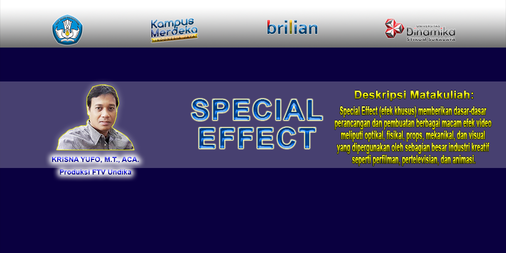 Special Effect (37127 P1 51016) 252